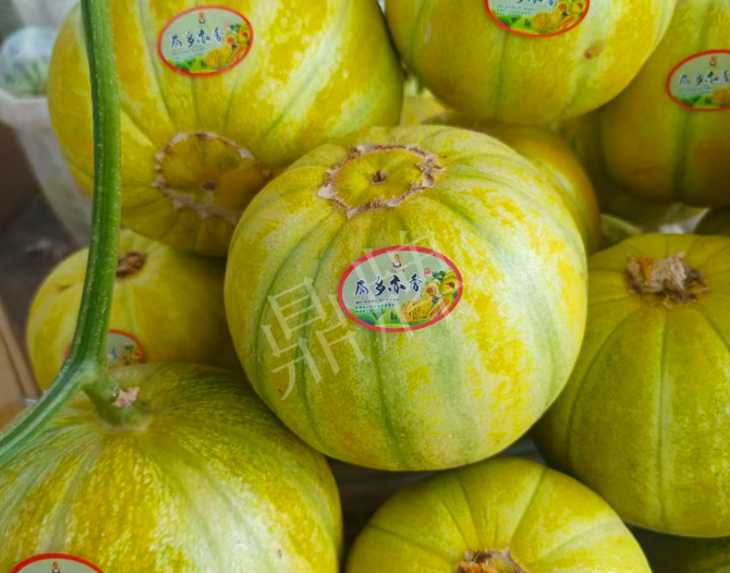 蔬菜種子種植戶客戶點評-這個甜瓜熟透了都不裂瓜，在新疆賣14元每公斤！